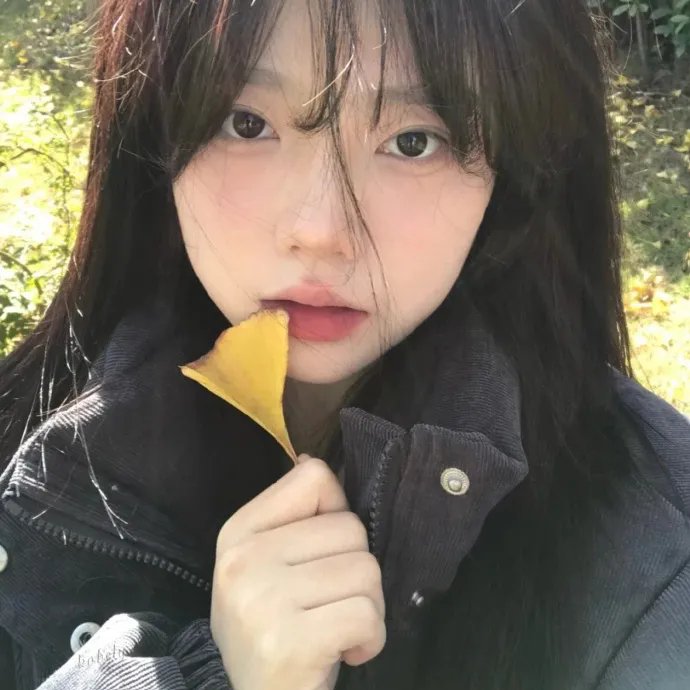 北极世界末日